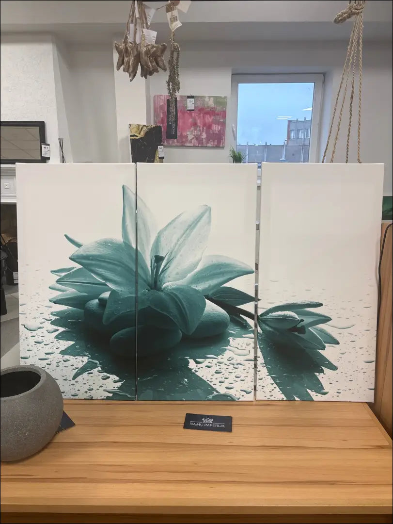 3 dalių paveikslas DI10645 - €45 Save 50% 25-50, __label:Pristatymas 1-2 d.d., color-balta, color-turkis, interjeras