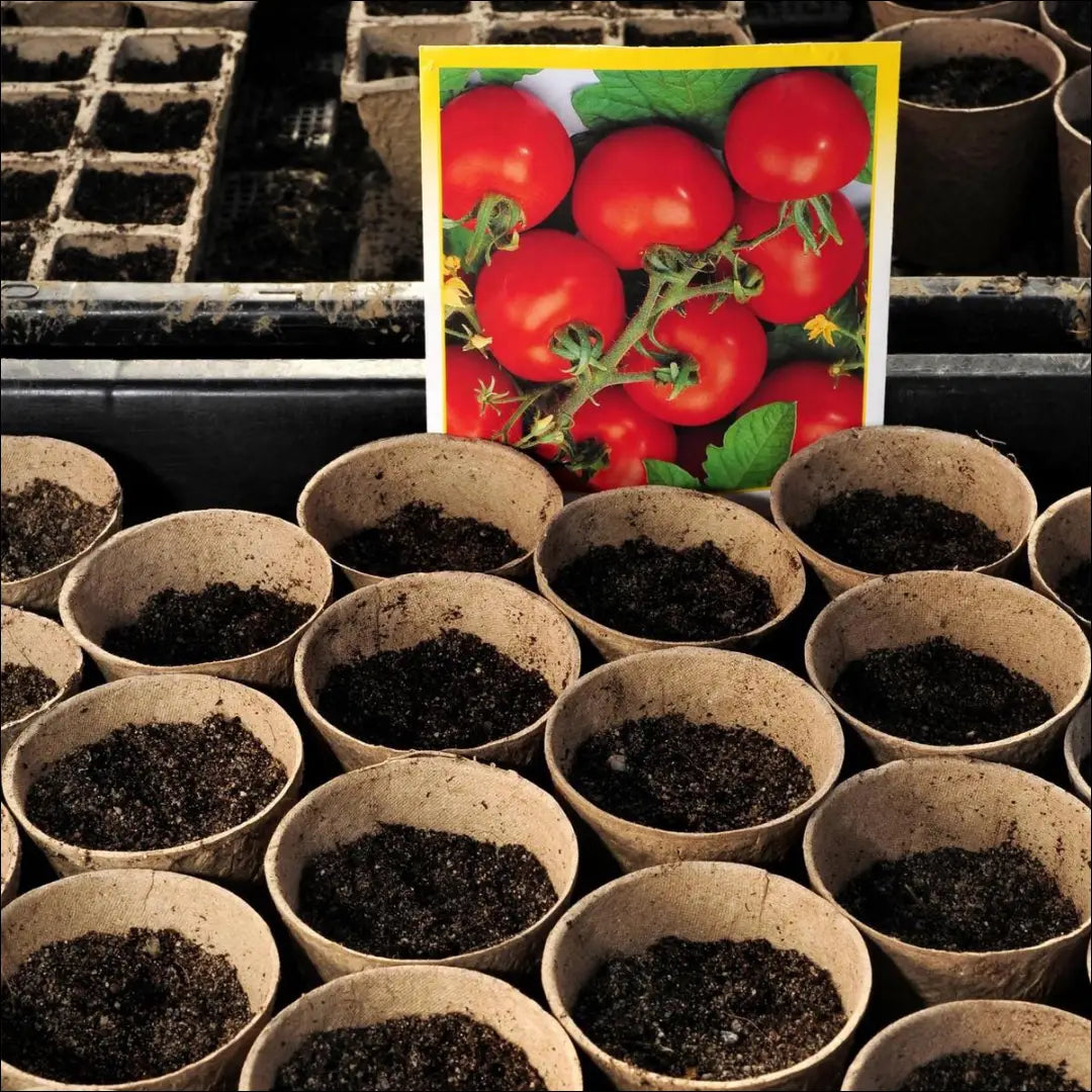 Auginimo vazonai - 80 vnt rinkinys DA0172 - €9 Save 50% __label:Pristatymas 1-2 d.d., lauko baldai, lauko-kita,