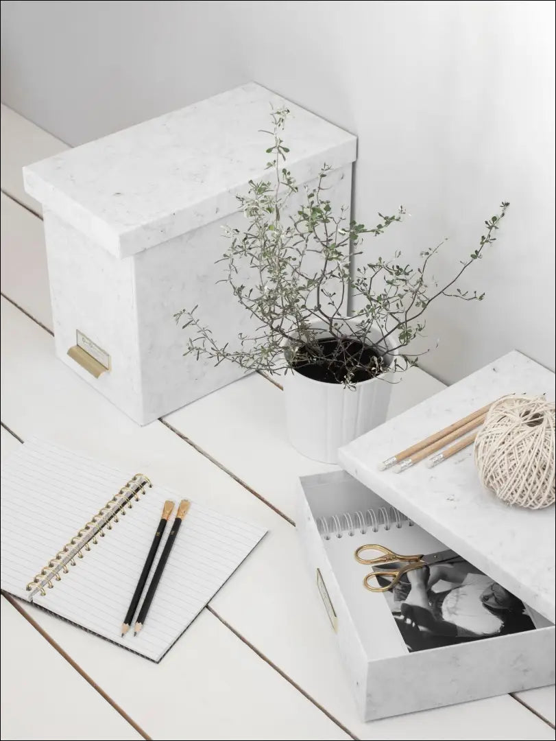 Daiktadėžė DI4881 - €4 Save 75% __label:Pristatymas 1-2 d.d., biuro-baldai, biuro-reikmenys, color-balta, under-25 Iki