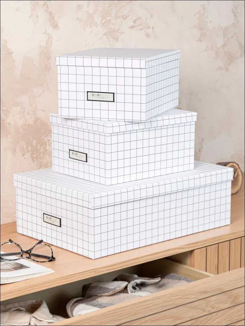 Daiktadėžių komplektas (3vnt) DI5195 - €13 Save 70% __label:Pristatymas 1-2 d.d., biuro-baldai, biuro-reikmenys,