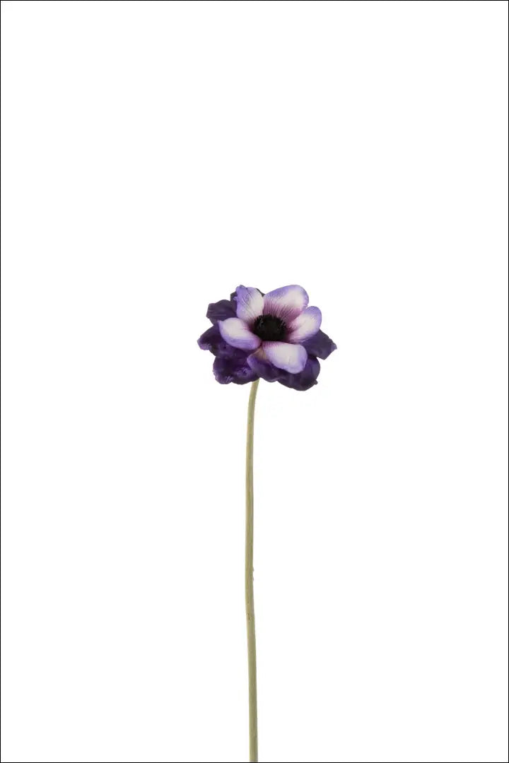 Dekoratyvinė gėlė DI9457 - €3 Save 60% __label:Pristatymas 1-2 d.d., augalai, color-violetine, interjeras,