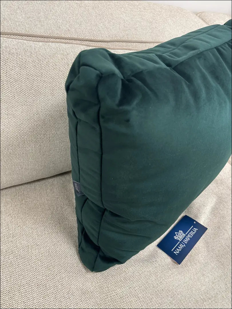 Dekoratyvinė pagalvė DI10404 - €24 Save 50% __label:Pristatymas 1-2 d.d., color-zalia, interjeras, material-aksomas,