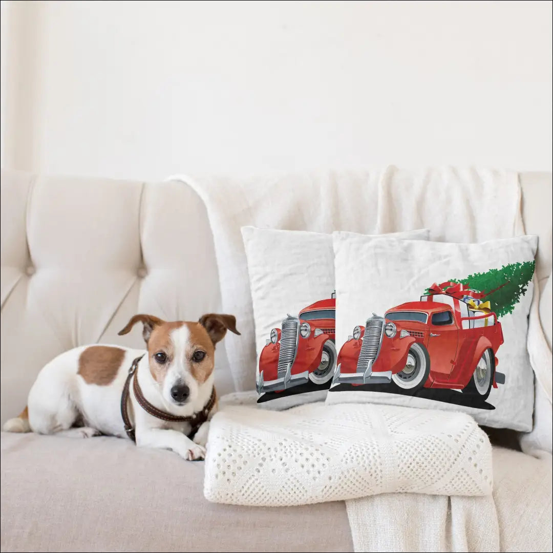 Dekoratyvinė pagalvėlė DI10048 - €16 Save 50% __label:Pristatymas 1-2 d.d., color-balta, color-marga, color-margas,