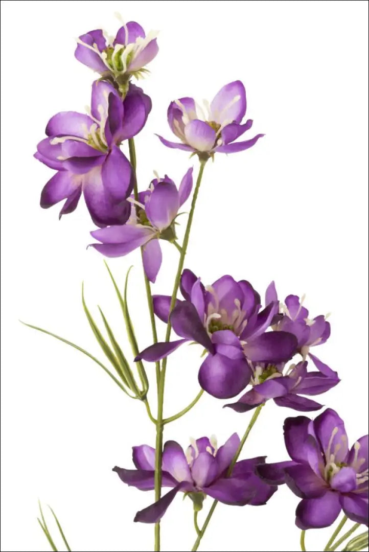 Dirbtinė gėlė (2vnt) DI6001 - €8 Save 70% __label:Pristatymas 1-2 d.d., augalai, color-violetine, color-zalia,