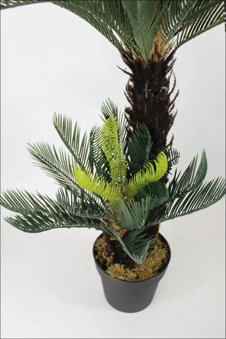 Dirbtinis augalas DI10088 - €63 Save 55% 50-100, __label:Pristatymas 1-2 d.d., augalai, color-zalia, interjeras €50