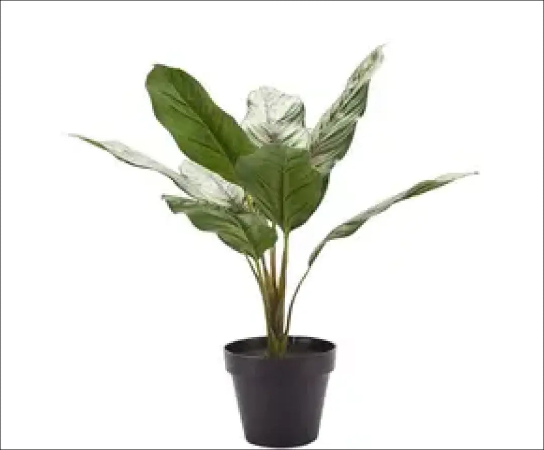 Dirbtinis augalas su vazonėliu DI5866 - €13 Save 70% __label:Pristatymas 1-2 d.d., augalai, color-juoda, color-zalia,