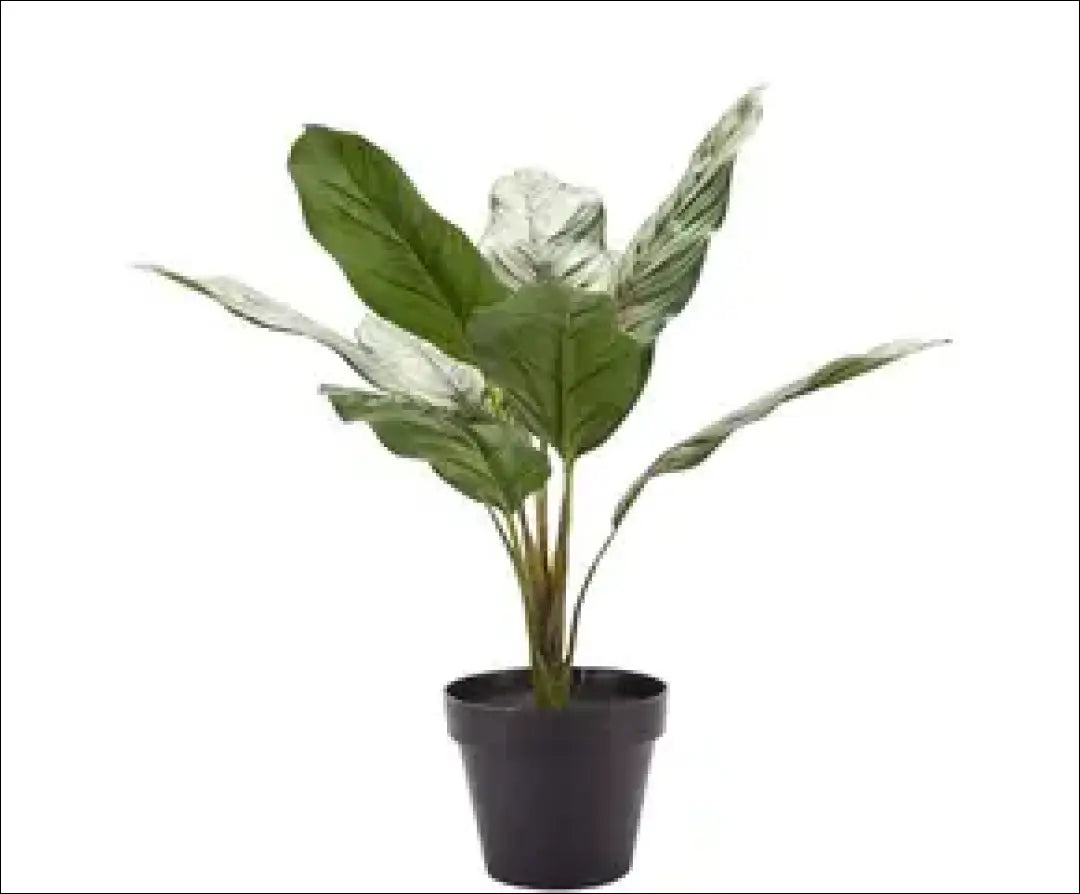 Dirbtinis augalas vazonėlyje DI5767 - €12 Save 70% __label:Pristatymas 1-2 d.d., augalai, color-pilka, color-zalia,