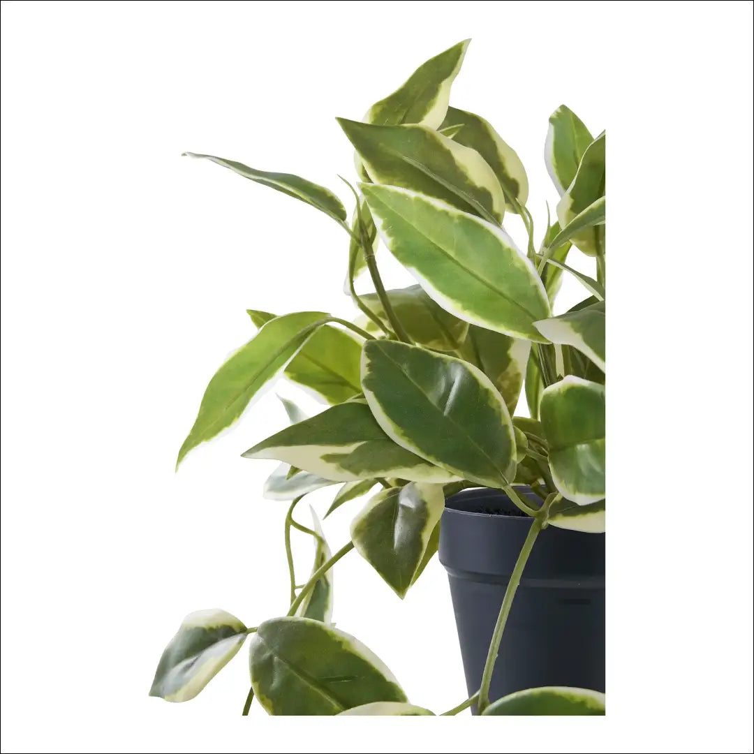 Dirbtinis augalas žalias aukštis: 33 cm RD1237 - €29 Save 15% 25-50, __label:Pristatymas 5-14 d.d., nordic, Plants,
