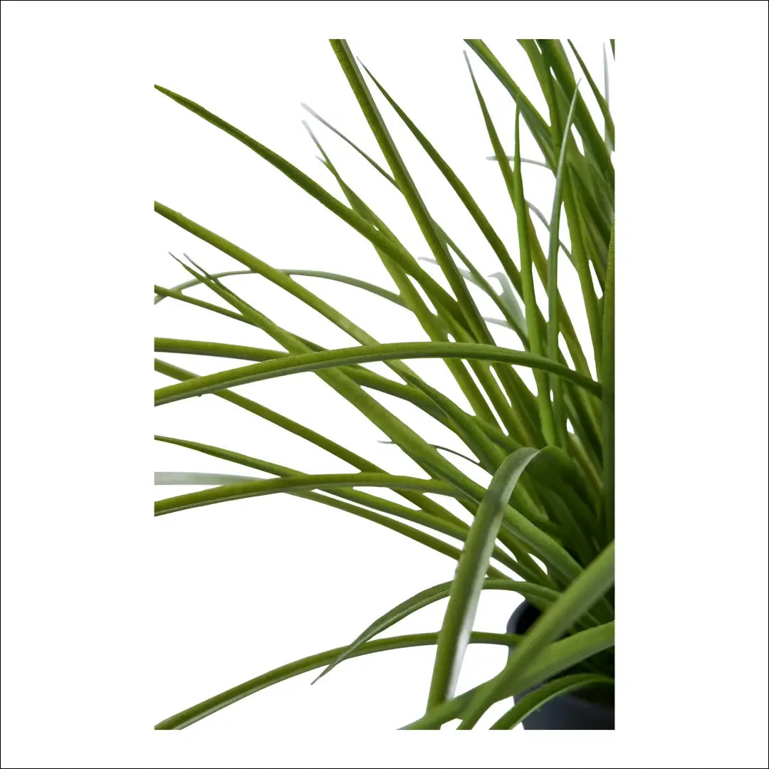 Dirbtinis augalas žalias aukštis: 45 cm RD1235 - €29 Save 15% 25-50, __label:Pristatymas 5-14 d.d., nordic, Plants,
