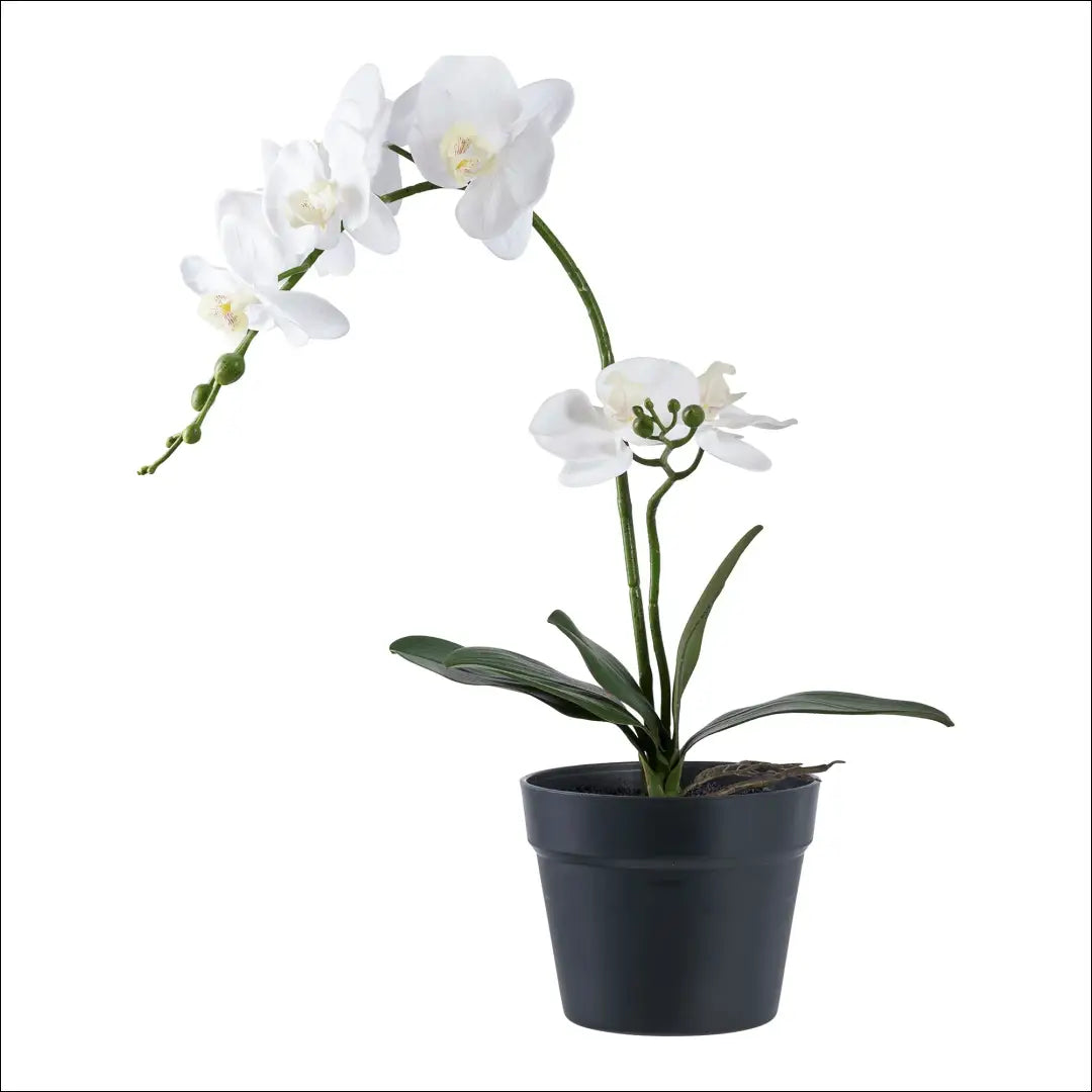 Dirbtinis augalas žalias/baltas aukštis: 49 cm RD1234 - €41 Save 15% 25-50, __label:Pristatymas 5-14 d.d., nordic,