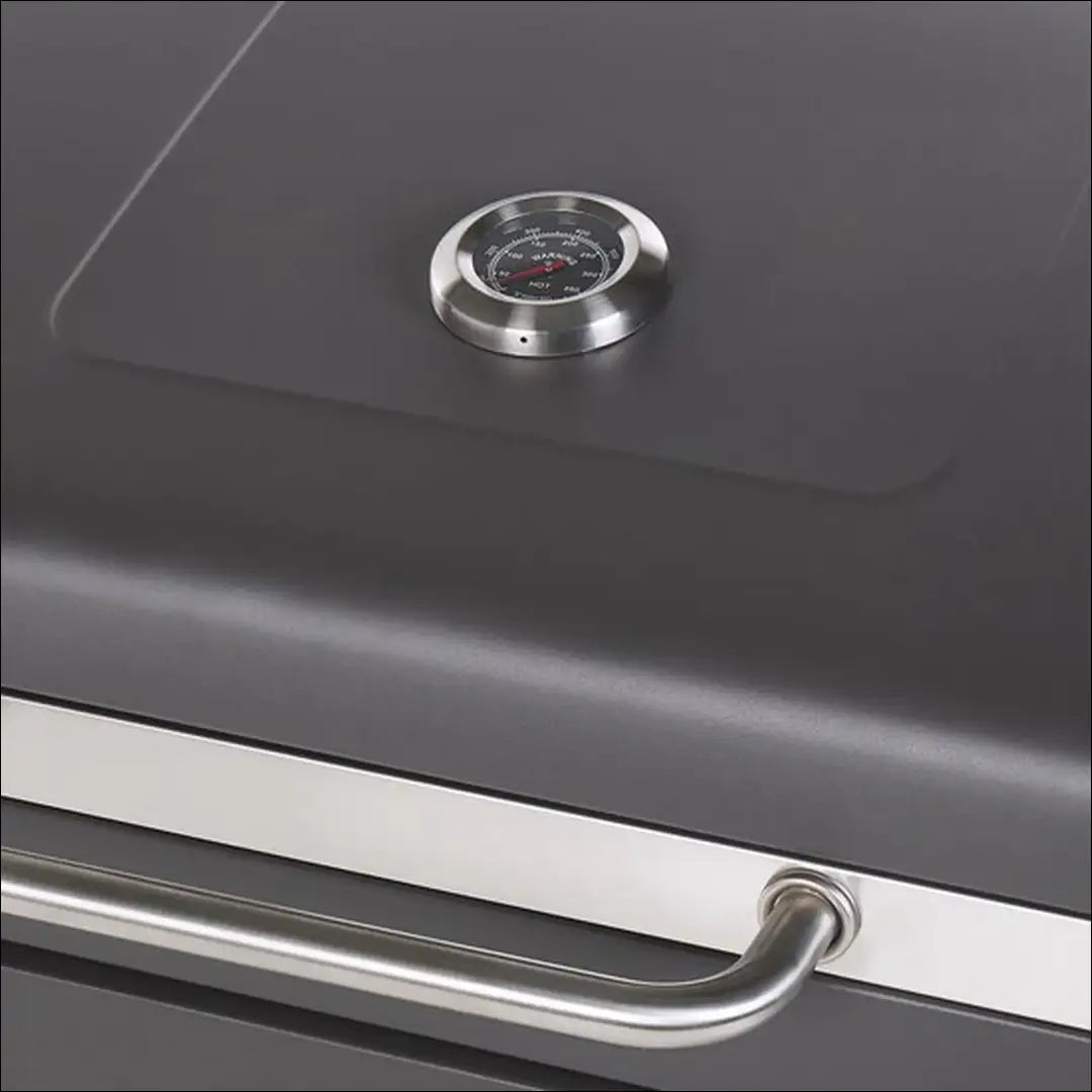 Grilis LI695 - €305 Save 50% __label:Pristatymas 1-2 d.d., color-pilka, material-metalas, over-200, pazeistas Virš €200