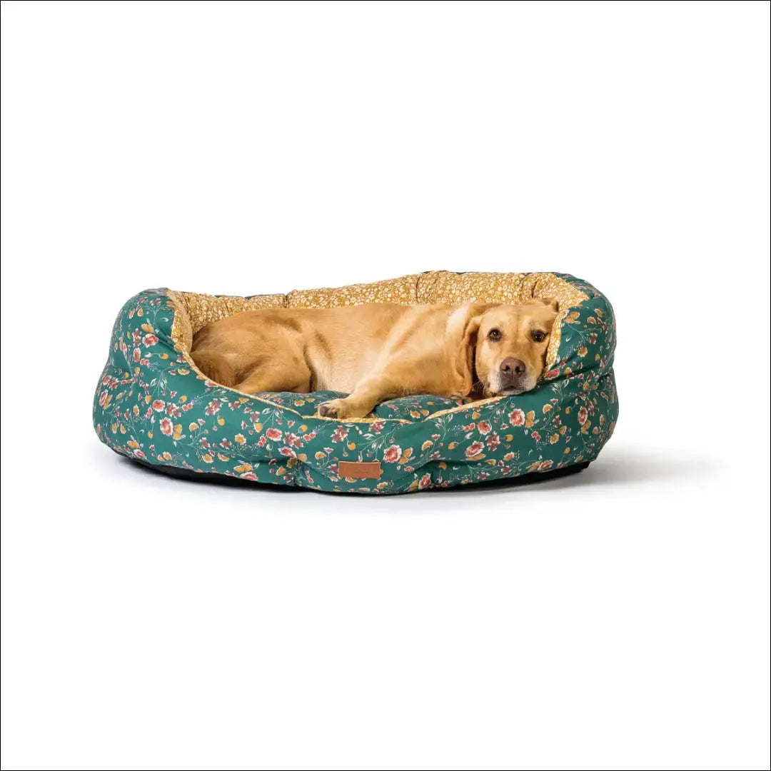 Guolis augintiniui DI10947 - €39 Save 50% 25-50, __label:Pristatymas 1-2 d.d., color-marga, color-margas, color-zalia