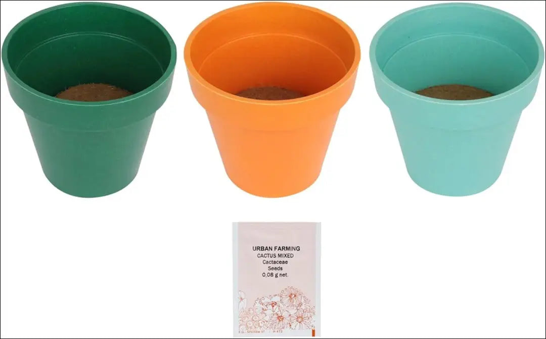 Kaktusų auginimo rinkinys DI6432 - €7 Save 65% __label:Pristatymas 1-2 d.d., color-oranzine, color-turkis, color-zalia,