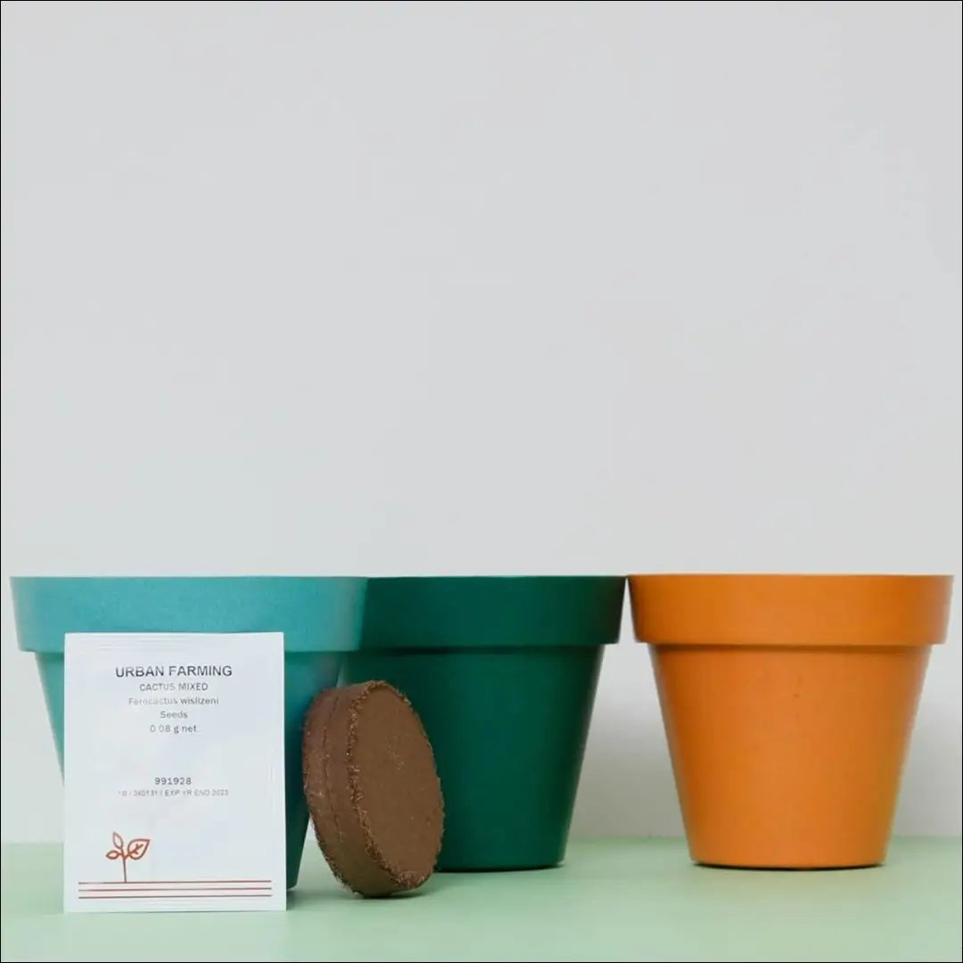 Kaktusų auginimo rinkinys DI6432 - €7 Save 65% __label:Pristatymas 1-2 d.d., color-oranzine, color-turkis, color-zalia,