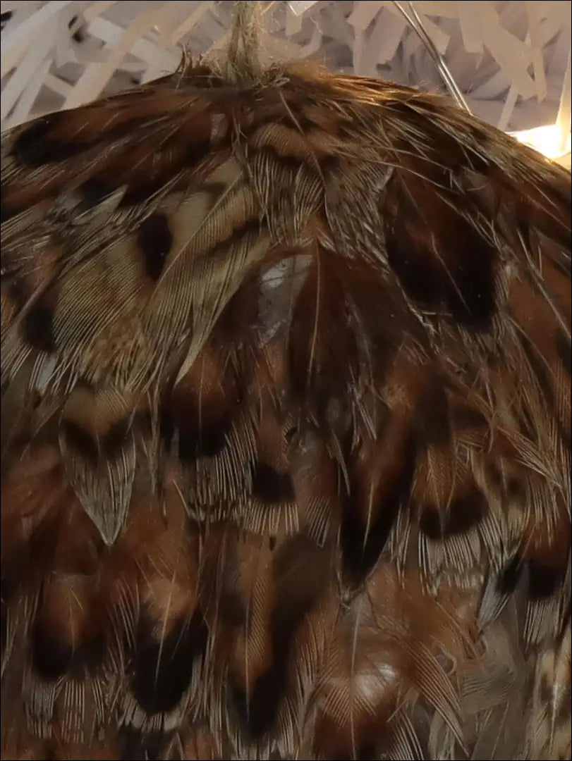 Kalėdinių burbulų komplektas (2vnt) DI4842 - €3 Save 75% __label:Pristatymas 1-2 d.d., color-ruda, color-smelio,