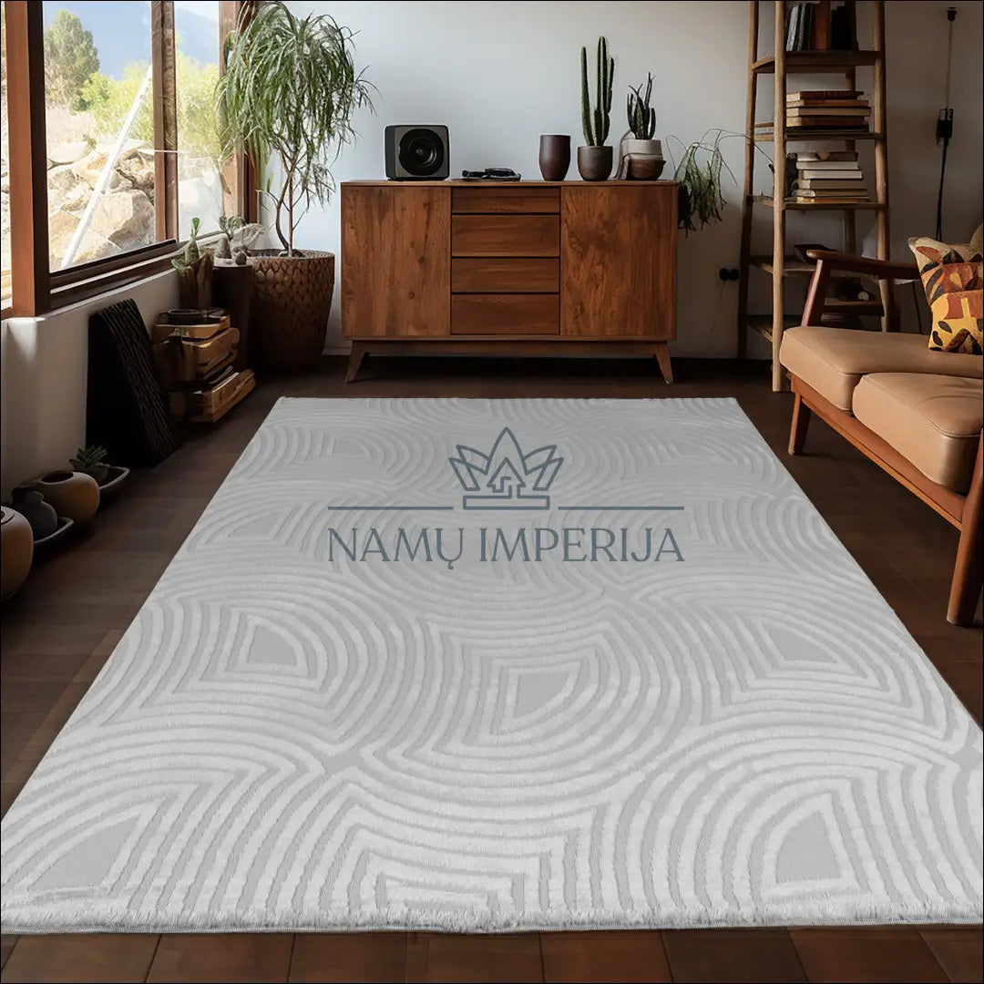 Kilimas NI2708 - €50 Save 15% 100-200, 50-100, ayy, kilimai, new-ayy365203 80 x 150 cm / Pilka / Polipropilenas Kilimai