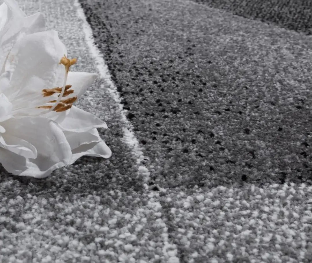 Kilimas NI3069 - 100-200, 50-100, __label:Pristatymas 5-14 d.d., ayy, Carpet Geometric Pattern Brown Kilimai | Namų