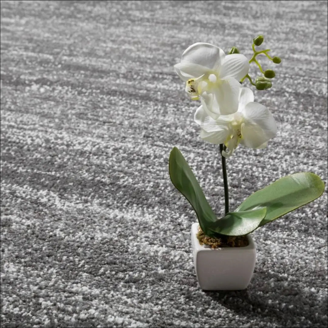 Kilimas NI3749 - 100-200, 50-100, __label:Pristatymas 5-14 d.d., ayy, color-pilka Kilimai | Namų imperija Fast shipping