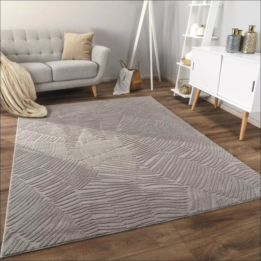Kilimas NI4248 - €59 Save 15% 100-200, 50-100, __label:Pristatymas 5-14 d.d., color-pilka, kilimai 60 x 100 cm / Pilka