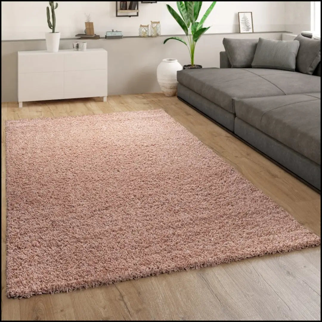 Ilgaplaukis kilimas RU1010 - €181 Save 50% 100-200, __label:Pristatymas 1-2 d.d., color-rozine, ilgaplaukiai, kilimai