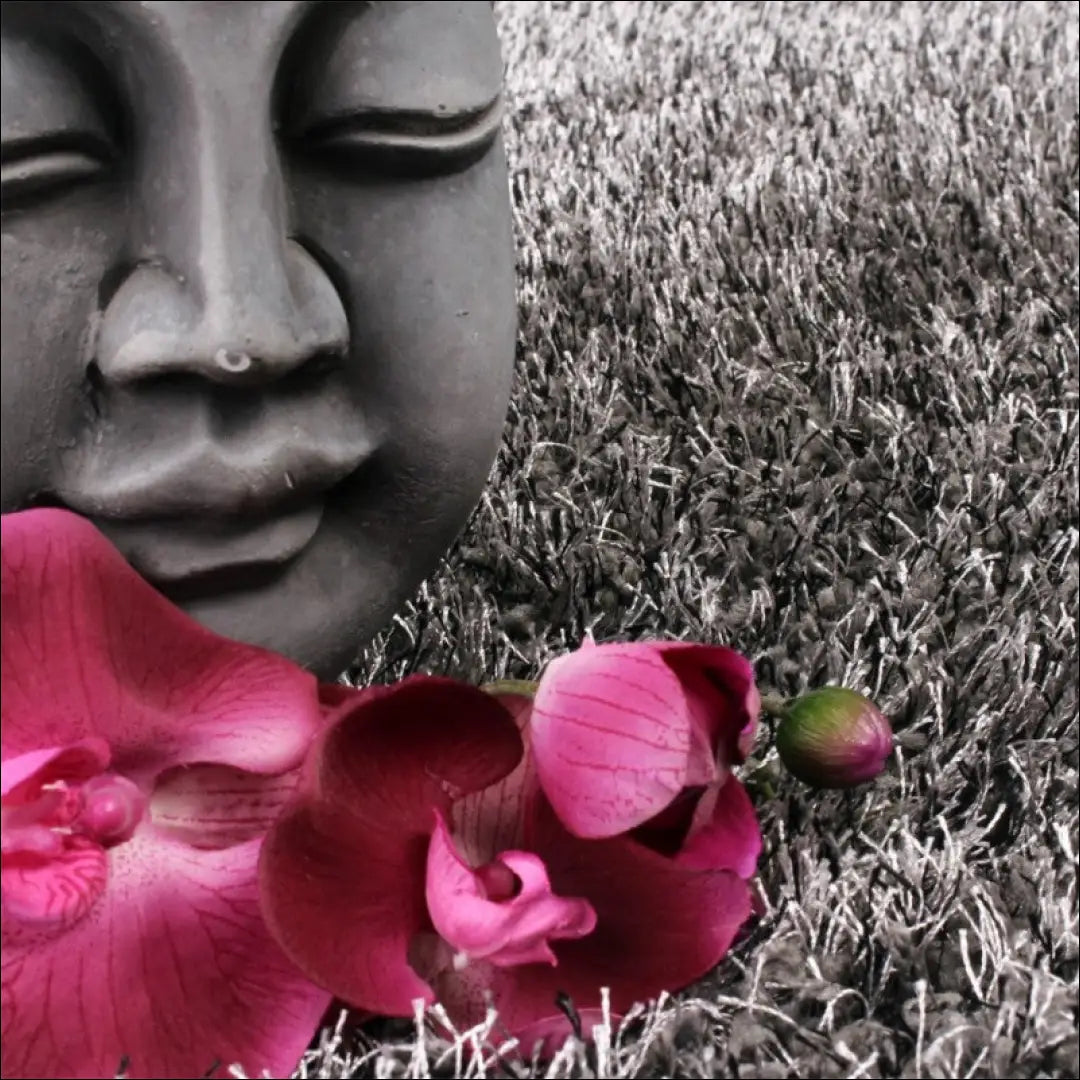 Kilimas NI4539 - 100-200, 25-50, 50-100, __label:Pristatymas 5-14 d.d., color-pilka Kilimai | Namų imperija Fast