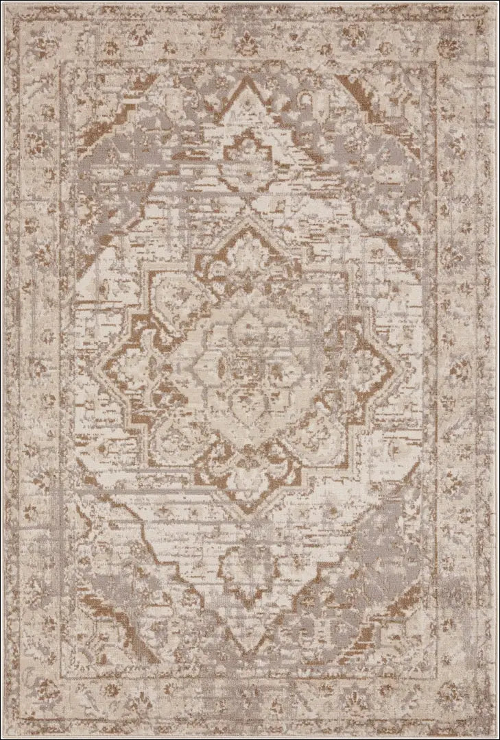 Kilimas RU1308 - €158 Save 50% 100-200, __label:Pristatymas 1-2 d.d., color-ruda, color-smelio, Dydis-240-x-340-cm 240