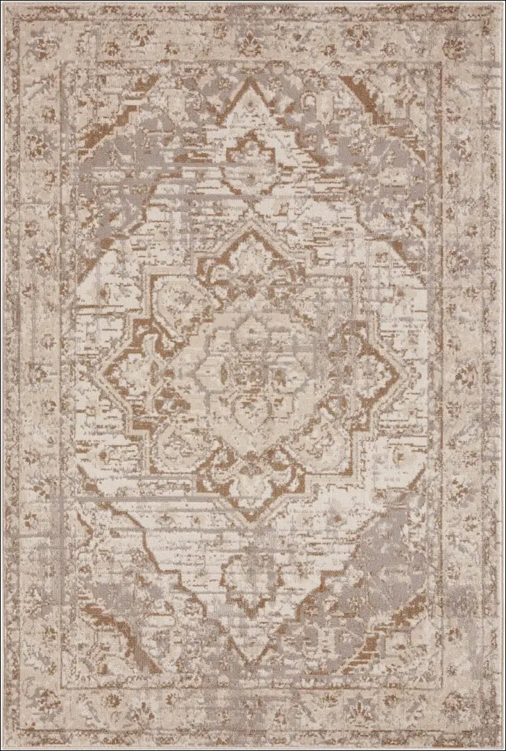 Kilimas RU1308 - €158 Save 50% 100-200, __label:Pristatymas 1-2 d.d., color-ruda, color-smelio, Dydis-240-x-340-cm 240