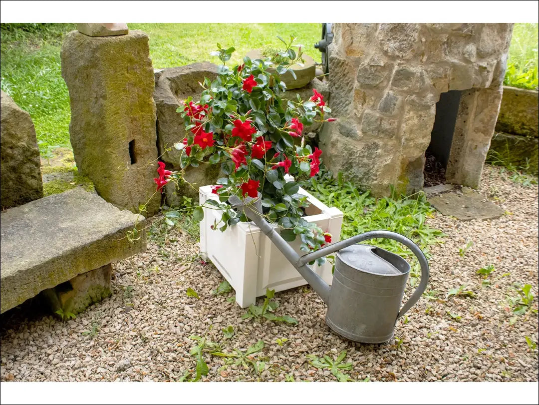 Kvadratinis baltas vazonas DA405 - €25 Save 50% 25-50, __label:Pristatymas 1-2 d.d., lauko baldai, lauko-kita to €50