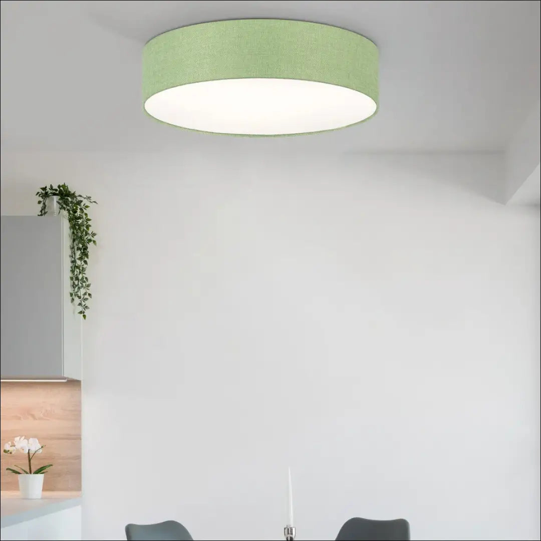 Lubinis šviestuvas DI10100 - €42 Save 55% 25-50, __label:Pristatymas 1-2 d.d., color-zalia, interjeras,