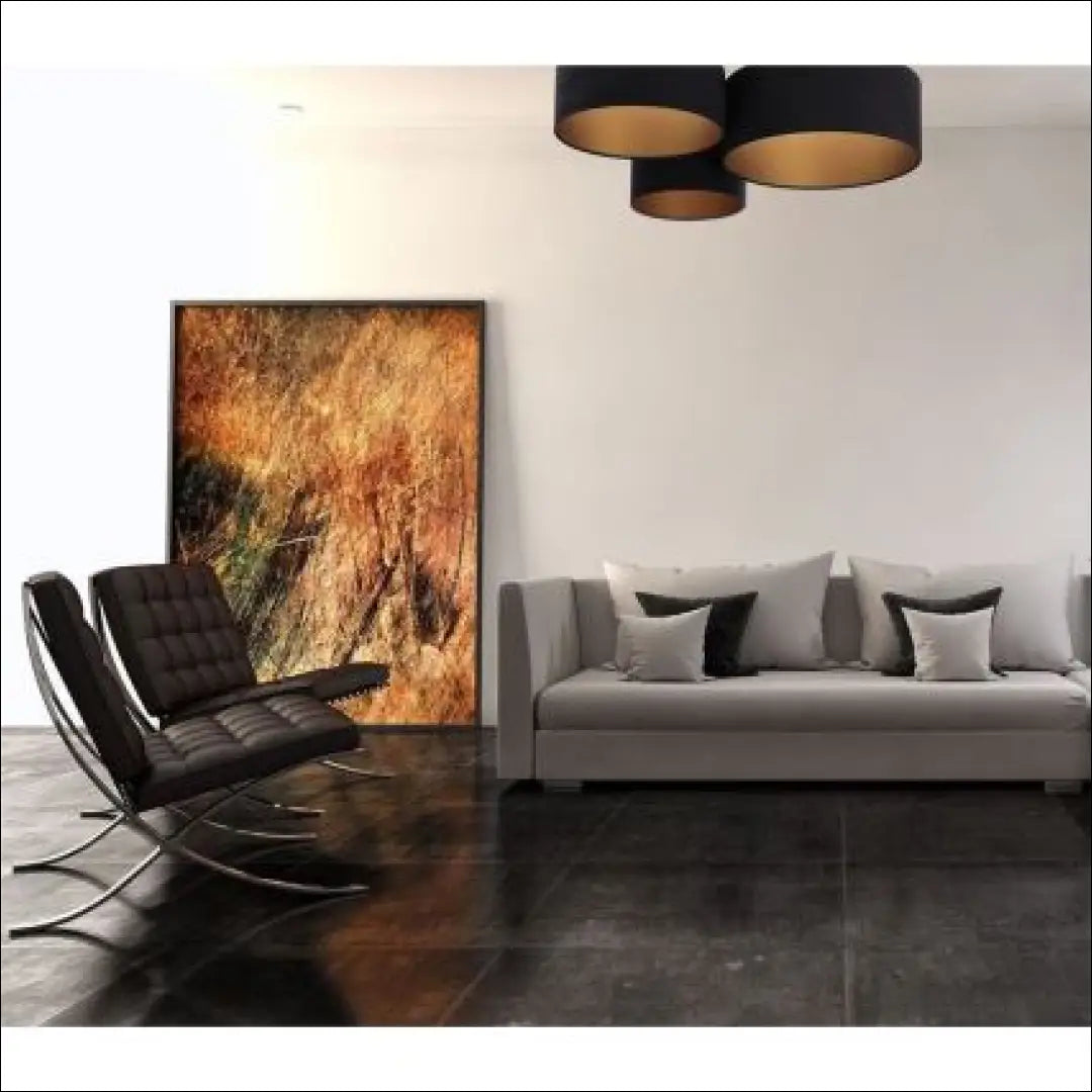 Lubinis šviestuvas DI10603 - €75 Save 50% 50-100, __label:Pristatymas 1-2 d.d., color-auksine, color-juoda, interjeras