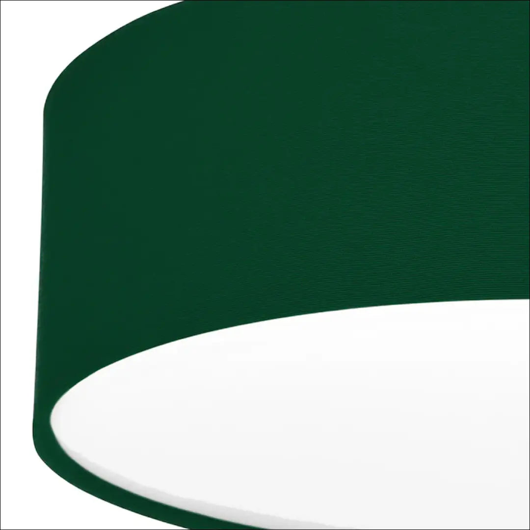 Lubinis šviestuvas DI10604 - €36 Save 50% 25-50, __label:Pristatymas 1-2 d.d., color-zalia, interjeras,