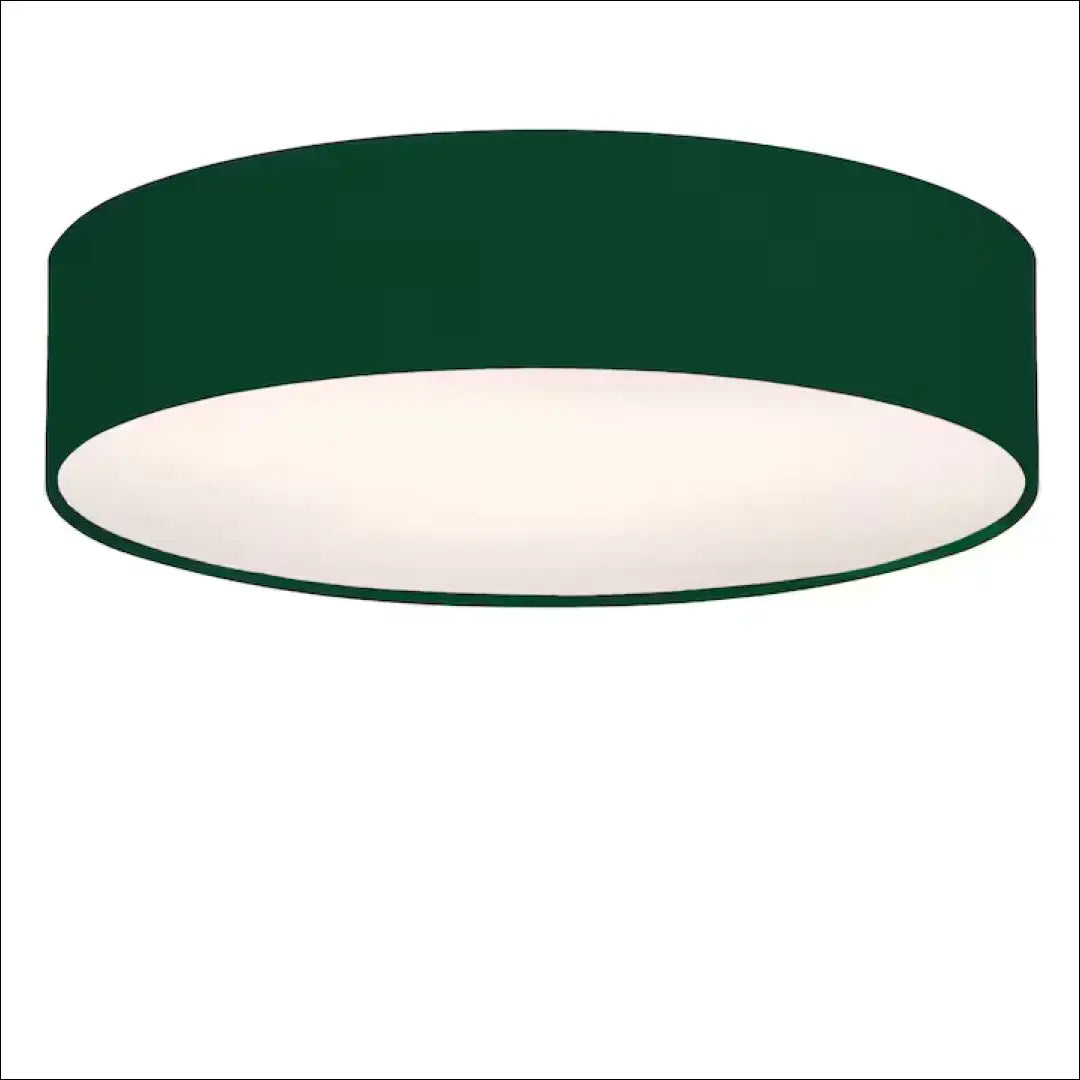 Lubinis šviestuvas DI10604 - €36 Save 50% 25-50, __label:Pristatymas 1-2 d.d., color-zalia, interjeras,