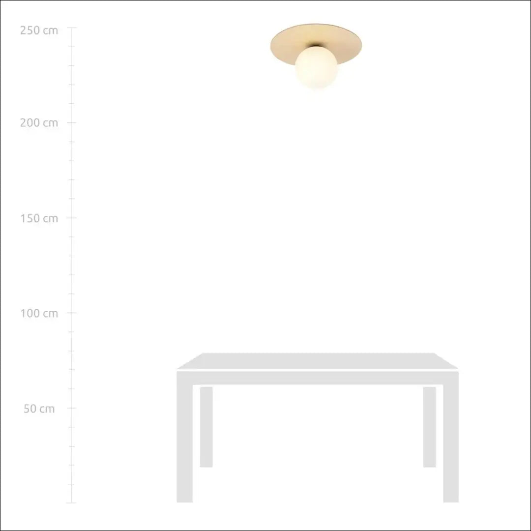 Lubinis šviestuvas DI12262 - €39 Save 50% 25-50, __label:Pristatymas 1-2 d.d., color-balta, color-ruda, interjeras €25