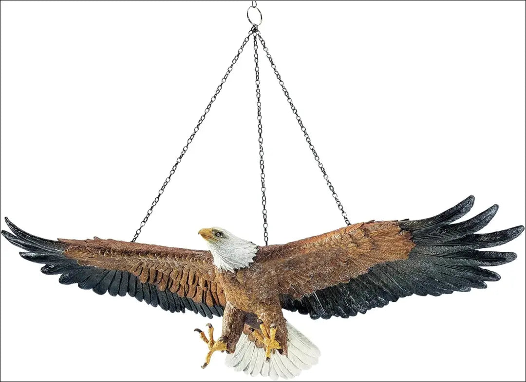 Pakabinama dekoracija “Erelis” DI10442 - €38 Save 50% 25-50, __label:Pristatymas 1-2 d.d., color-balta, color-juoda,