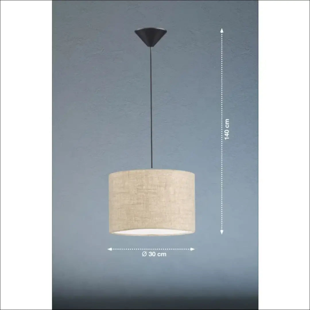 Pakabinamas šviestuvas DI11897 - €35 Save 50% 25-50, __label:Pristatymas 1-2 d.d., interjeras, lubiniai-sviestuvai,