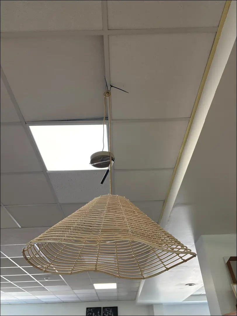 Pakabinamas šviestuvas DI9724 - €22 Save 55% __label:Pristatymas 1-2 d.d., color-smelio, interjeras,