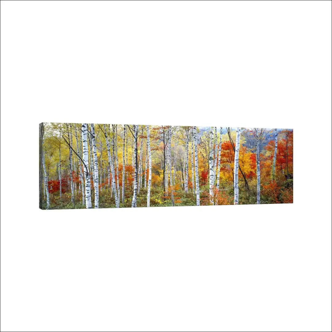 Paveikslas DI10281 - €70 Save 50% 50-100, __label:Pristatymas 1-2 d.d., color-marga, color-margas, interjeras €50