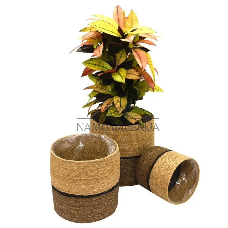 Pintų vazonų komplektas (3vnt) DI9095 - €12 Save 50% __label:Pristatymas 1-2 d.d., color-ruda, color-smelio,