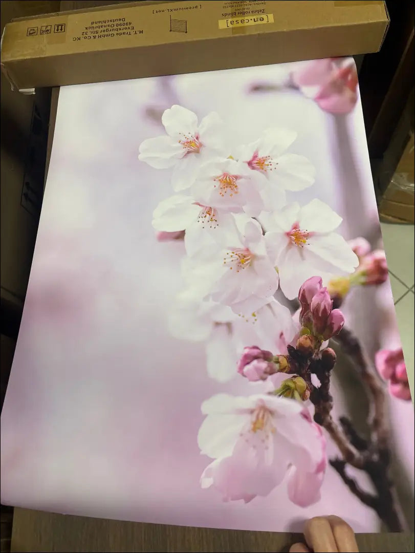 Plakatas DI11994 - €39 Save 50% 25-50, __label:Pristatymas 1-2 d.d., color-marga, color-margas, color-rozine €25 to €50