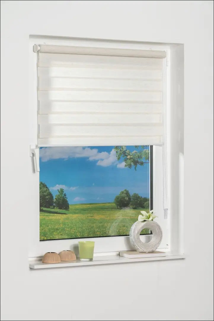 Roletas DI11991 - €12 Save 50% __label:Pristatymas 1-2 d.d., color-smelio, material-poliesteris, tekstile, under-25 Iki