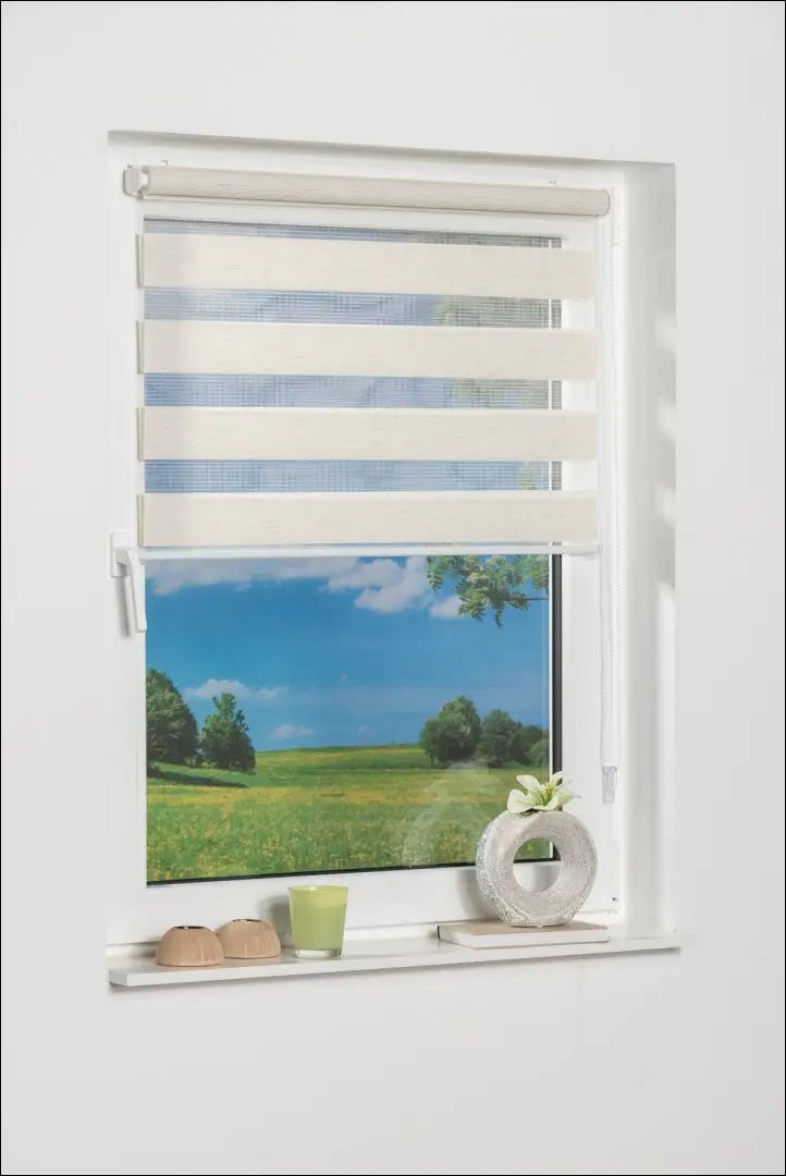 Roletas DI11991 - €12 Save 50% __label:Pristatymas 1-2 d.d., color-smelio, material-poliesteris, tekstile, under-25 Iki