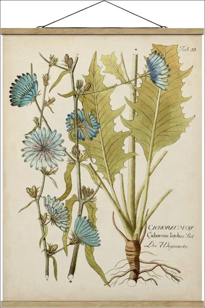 Sienos dekoracija DI10658 - €29 Save 50% 25-50, __label:Pristatymas 1-2 d.d., color-marga, color-margas, color-zalia