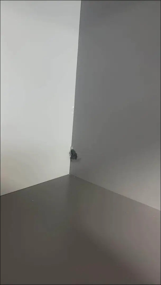 Spinta GI743 - €220 Save 50% __label:Pristatymas 1-2 d.d., color-pilka, color-ruda, miegamojo, over-200 Virš €200