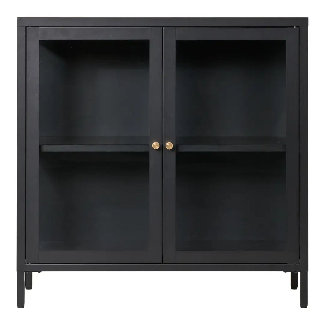 Spintelė 2 stiklinės durys plienas juoda 80x35x80 cm RD515 - €276 Save 15% __label:Pristatymas 5-14 d.d., Chests,