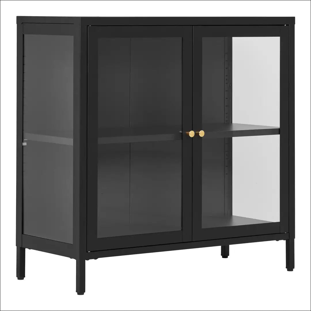 Spintelė 2 stiklinės durys plienas juoda 80x35x80 cm RD515 - €276 Save 15% __label:Pristatymas 5-14 d.d., Chests,