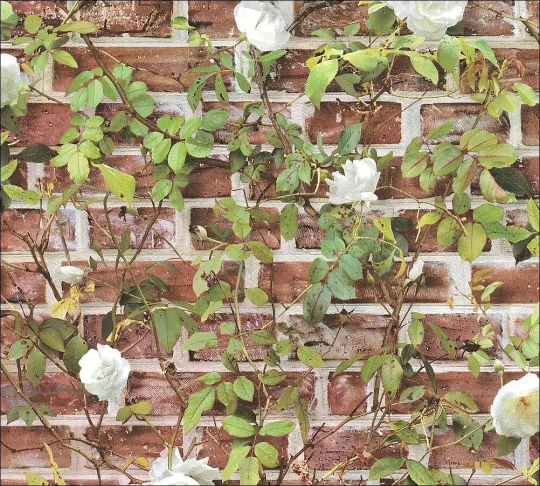 Tapetas DI11129 - €12 Save 50% __label:Pristatymas 1-2 d.d., color-ruda, color-zalia, interjeras, sienu dekoracijos Iki