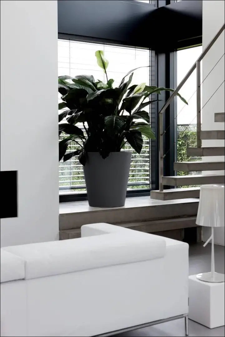 Vazonas DI10214 - €22 Save 55% __label:Pristatymas 1-2 d.d., color-pilka, interjeras, material-plastikas, under-25 Iki