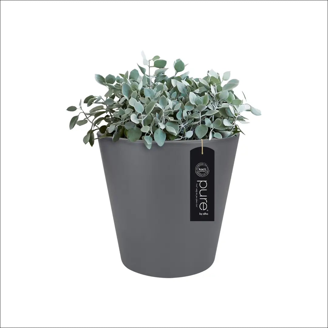Vazonas DI10214 - €25 Save 50% 25-50, __label:Pristatymas 1-2 d.d., color-pilka, interjeras, material-plastikas to €50