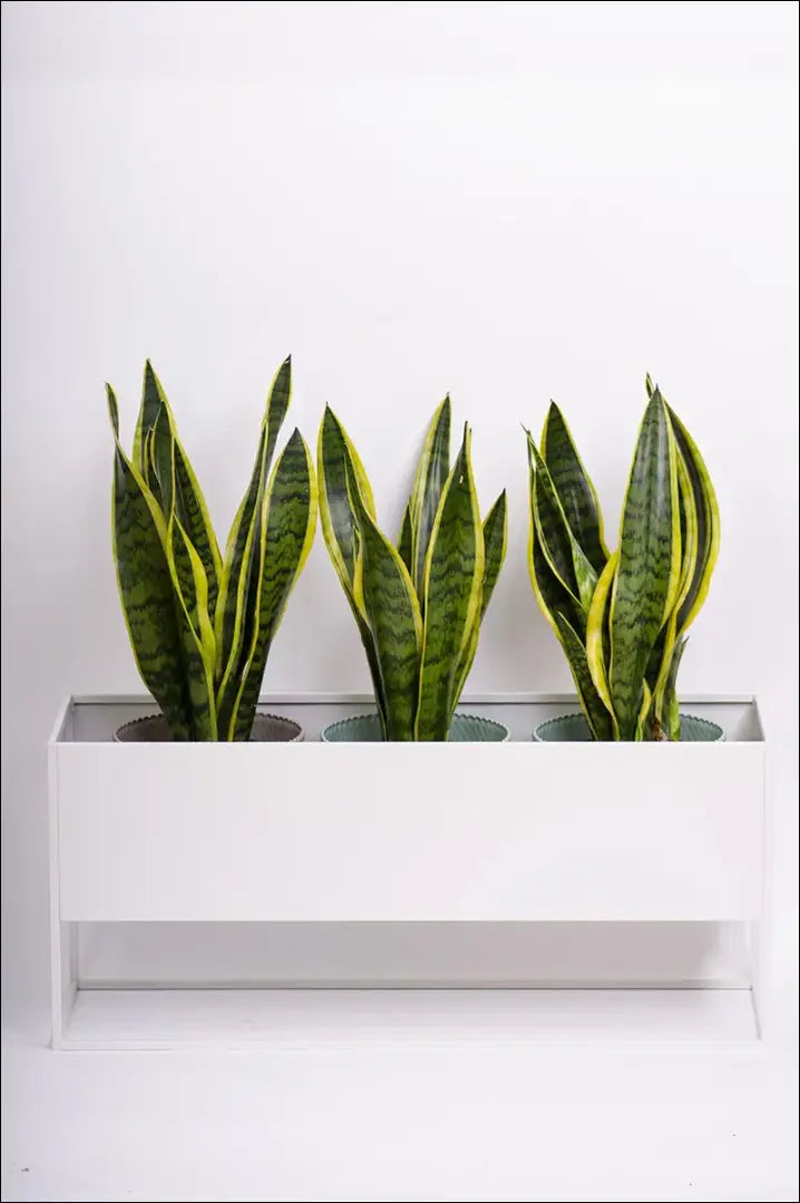 Vazonas DI10274 - €66 Save 55% 50-100, __label:Pristatymas 1-2 d.d., color-balta, interjeras, material-metalas €50