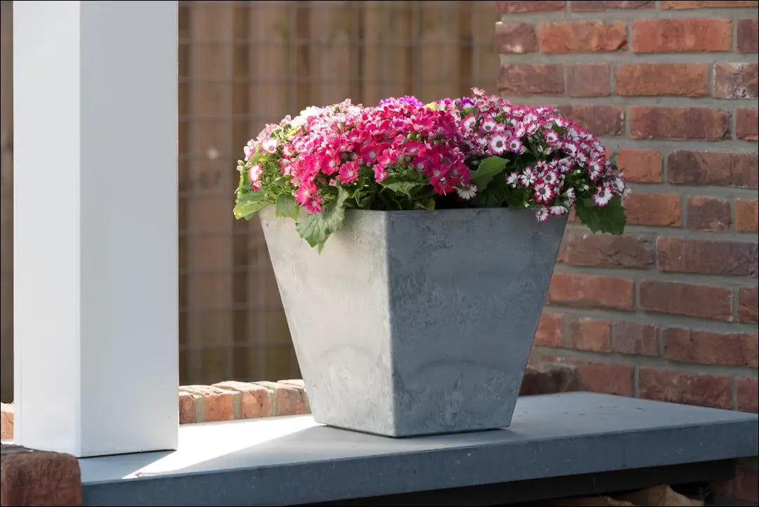 Vazonas DI10385 - €22 Save 55% __label:Pristatymas 1-2 d.d., color-pilka, interjeras, under-25, vazos Iki €25 Planters